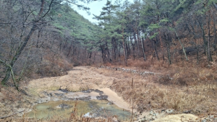 [토착비리를찾아라 울진군 삼달석산 제8화]